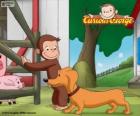 Maymun George ve Hundley sosis köpek